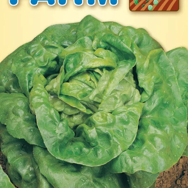 Σαλάτα Καλοκαιρινή ‘Sant’ Anna’