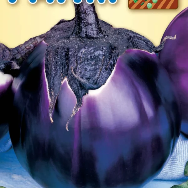 Μελιτζάνα Violetta di Firenze