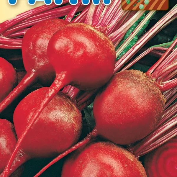 Παντζάρι Detroit 2