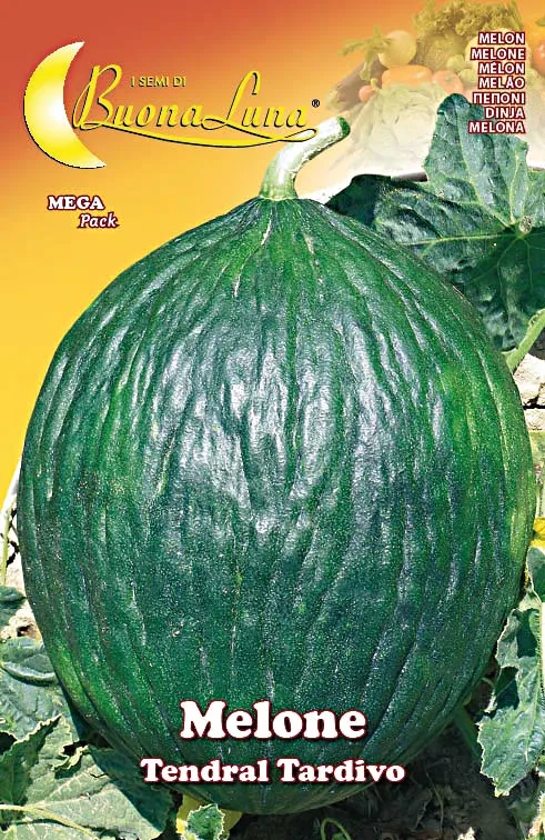 Πεπόνι 'Tendral Tardivo'