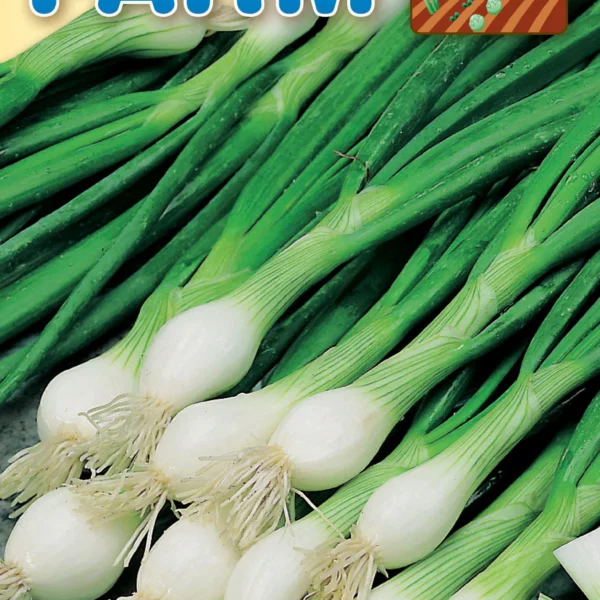 Κρεμμύδι Χλωρό ‘White Lisbon’