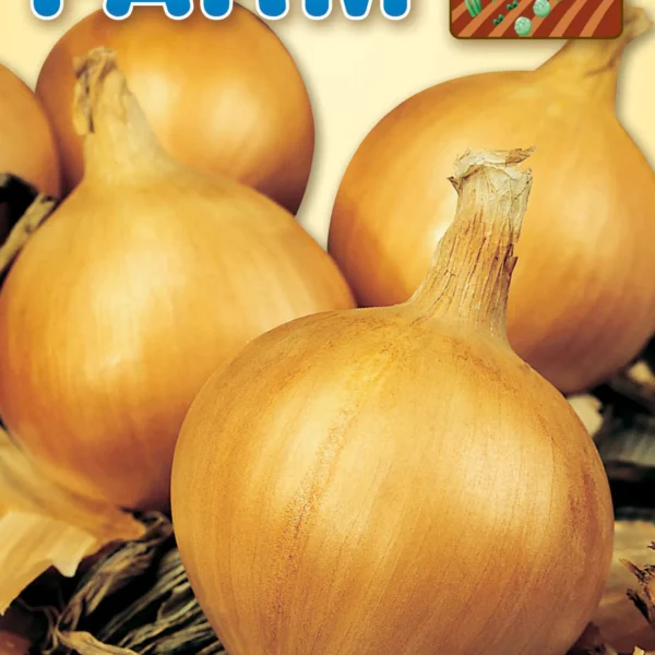 Κρεμμύδι Ξανθό ‘Dorata di Parma’