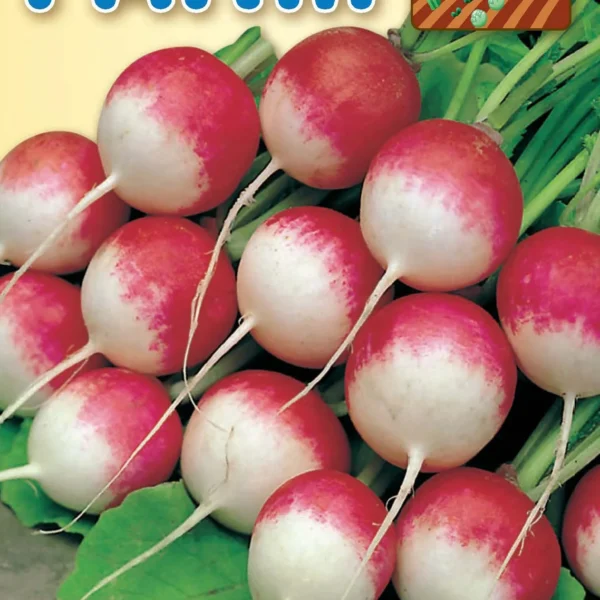 Ραπάνι Δίχρωμο ‘National 3’