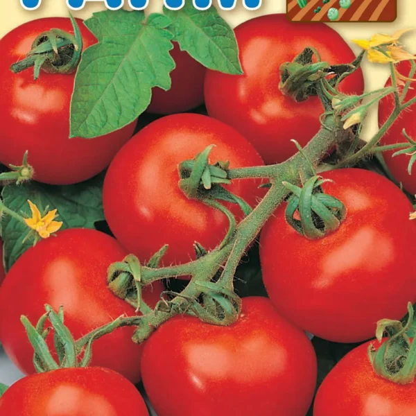 Τομάτα ‘Campbell 33’