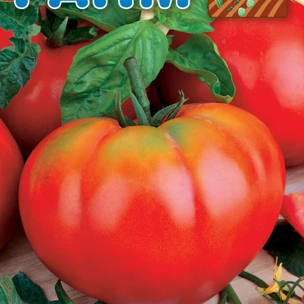 Τομάτα 'Καρδιά Βοδιού'